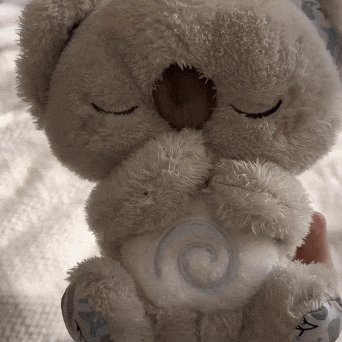 Drzemello – szumiś koala | spokojny sen i wyciszenie